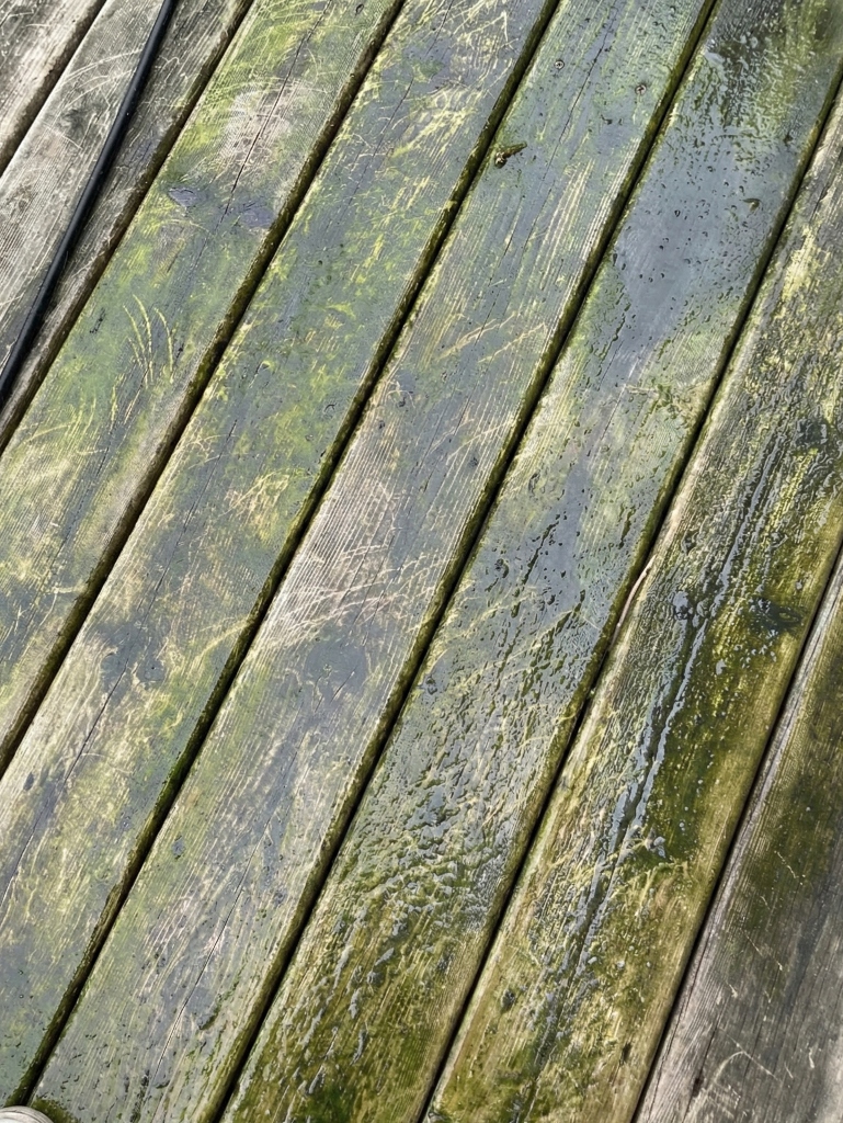 Grey weathered deck with mould and peeling stain before professional deck restoration in London Ontario