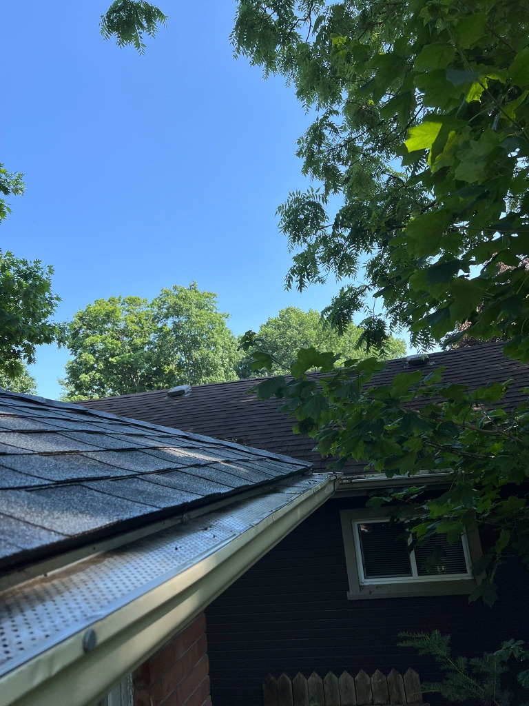 Severely clogged eavestroughs overflowing with leaves in Wortley Village London Ontario